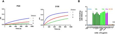 Vaccination with immune complexes modulates the elicitation of functional antibodies against HIV-1